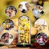Touloube Galaxy Rose for Her in Glass Dome 20 LED Lights 22cm Gift view 4