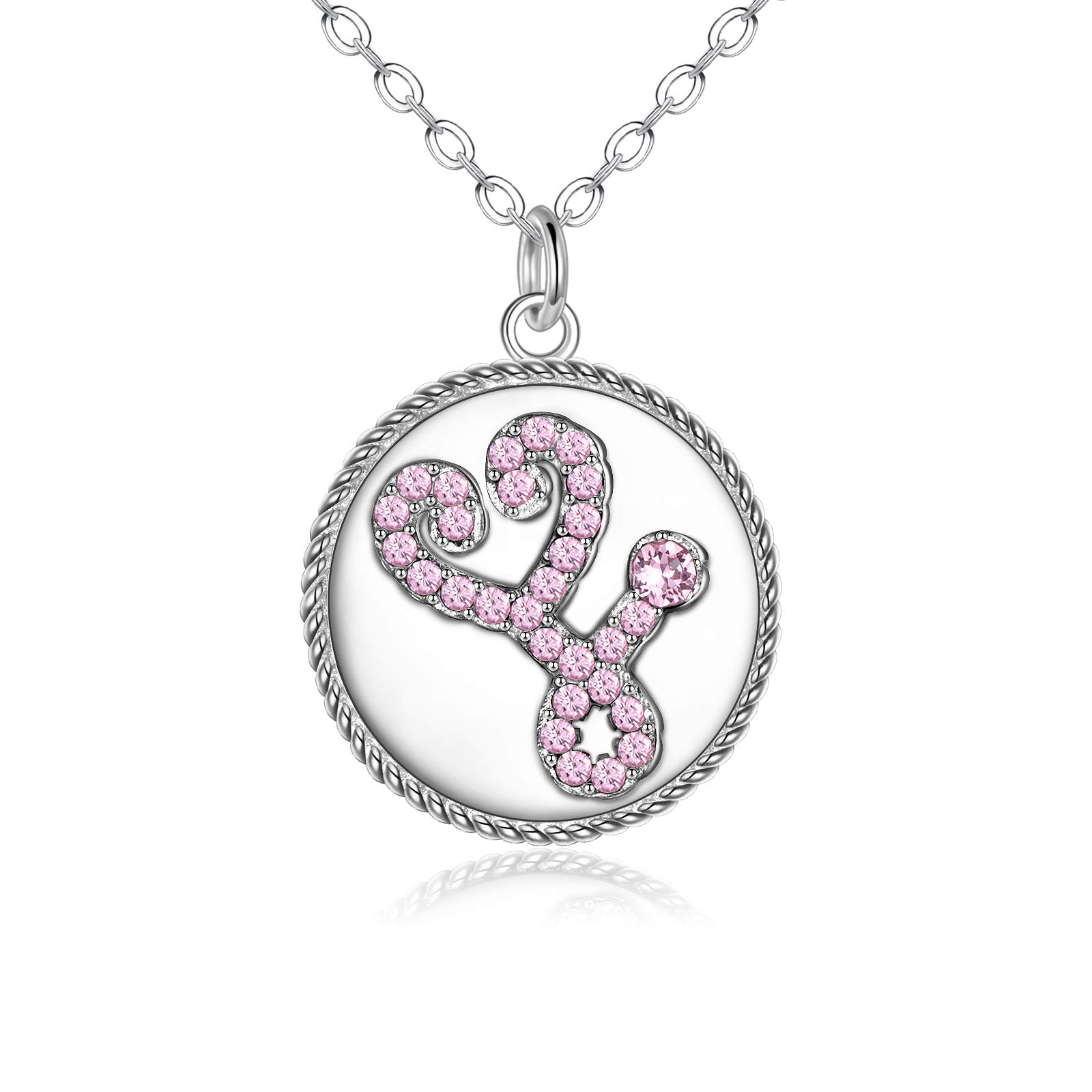 AOBOCO Nurse Necklace Sterling Silver, Pink Crystals Stethoscope Coin Pendant Jewellery Gifts for Nurse Doctor