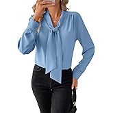 Astylish Womens Dressy Casual Blouses Bow Tie Neck Long Sleeve Elegant Business Work Shirt Tops