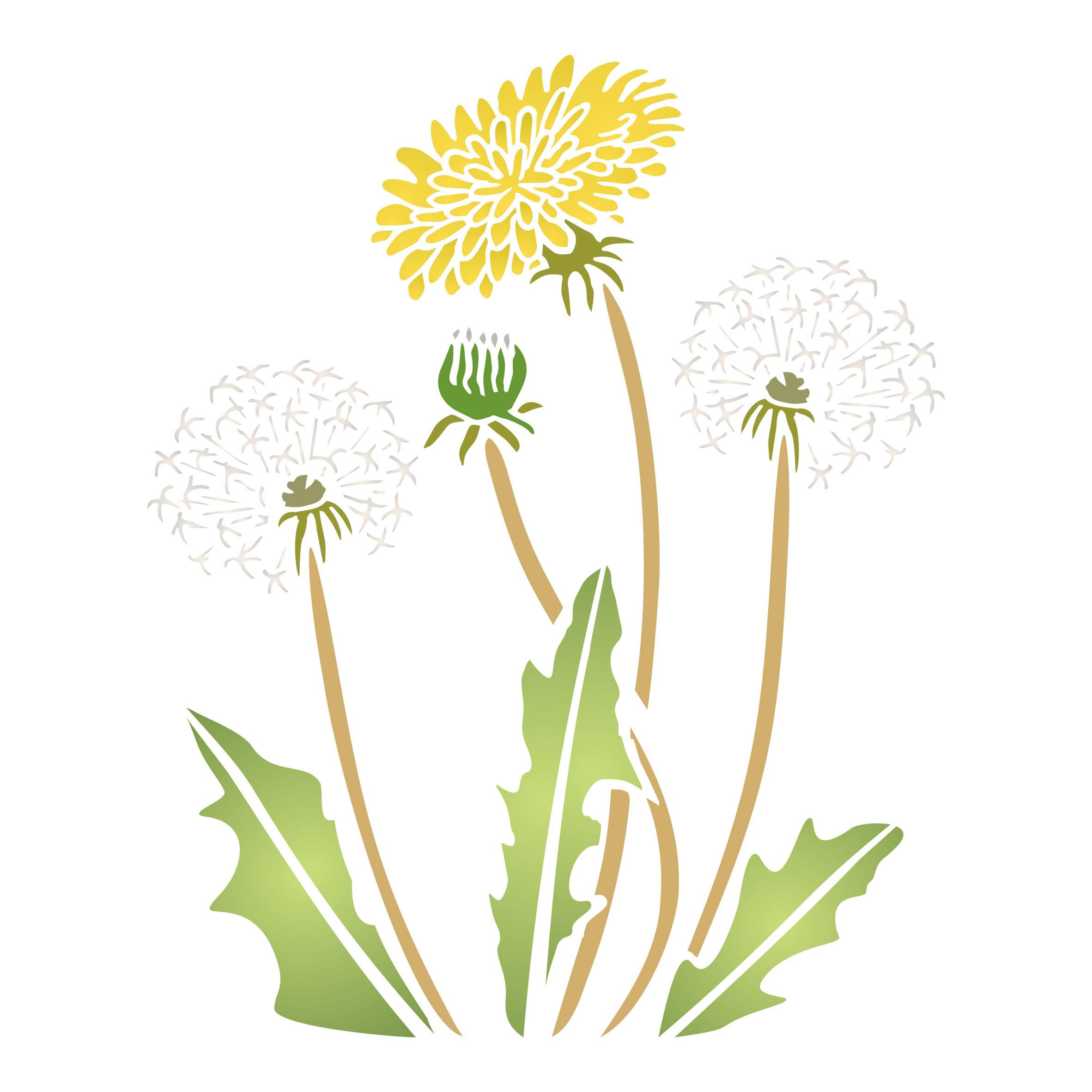 Dandelion Stencil, 20.32 x 25.40 cm (M) - Stencil Company Original Dandilion Puff Wall Stencil with Flower