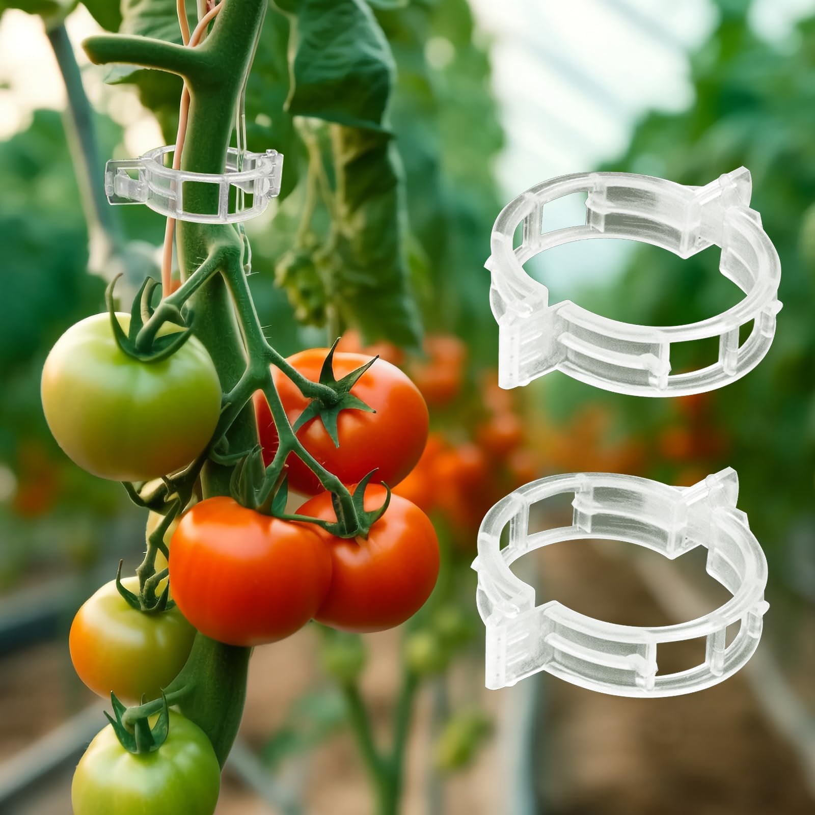 DARENYI 100Pcs Plant Support Clips, Tomato Plant Support Clips, Plant Clips for Climbing Plants, Garden Clips Outdoor Tomato Plant Clips for Tomatoes, Grapes, Chili Peppers, Eggplants (White)