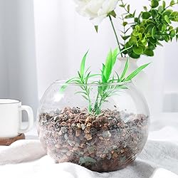 JOHOUSE 2LB Horticultural Lava Rocks, Mix Rocks for