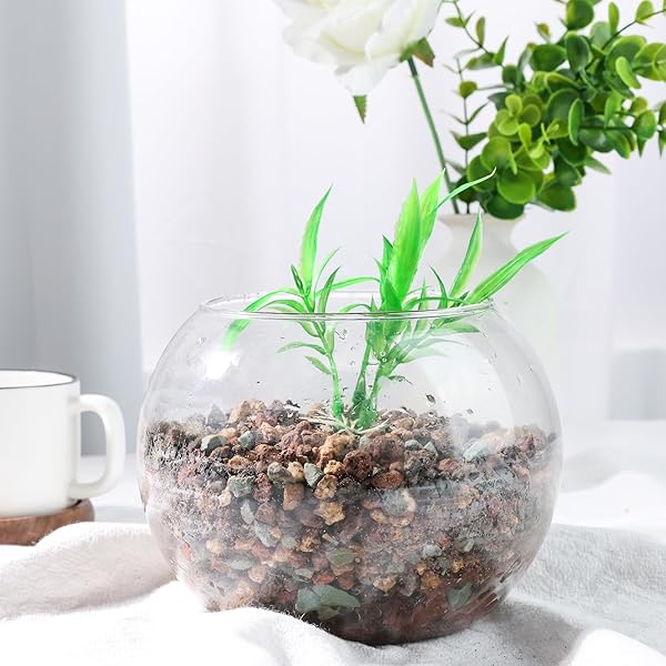 JOHOUSE 2LB HORTICULTURAL LAVA ROCKS, MIX ROCKS FOR PLANTS DECORATIVE PEBBLES FOR VASE FILLERS GARDENING TOP DRESSING CACTUS POTS INDOOR PUMICE POTTING SOIL AMENDMENT PLANT DRAINAGE