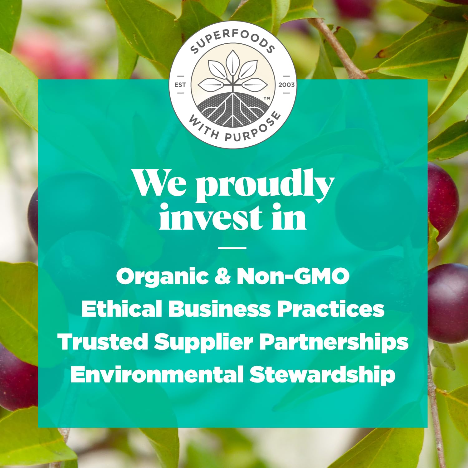 Navitas Organics Superfood+ Immunity Blend (Camu + Orange + Acerola Cherry), 30 Servings — Organic, Non-GMO, Vegan, Gluten-Free, Keto & Paleo, 4.2 Ounce…