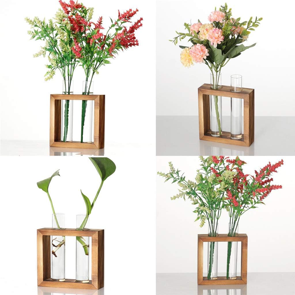 Test Tube Rack Planter, Transparent Hydroponic Flower Clear Vase with Wood Stand Frame Perfect for Coffee Shop Home Office Wall Decoration