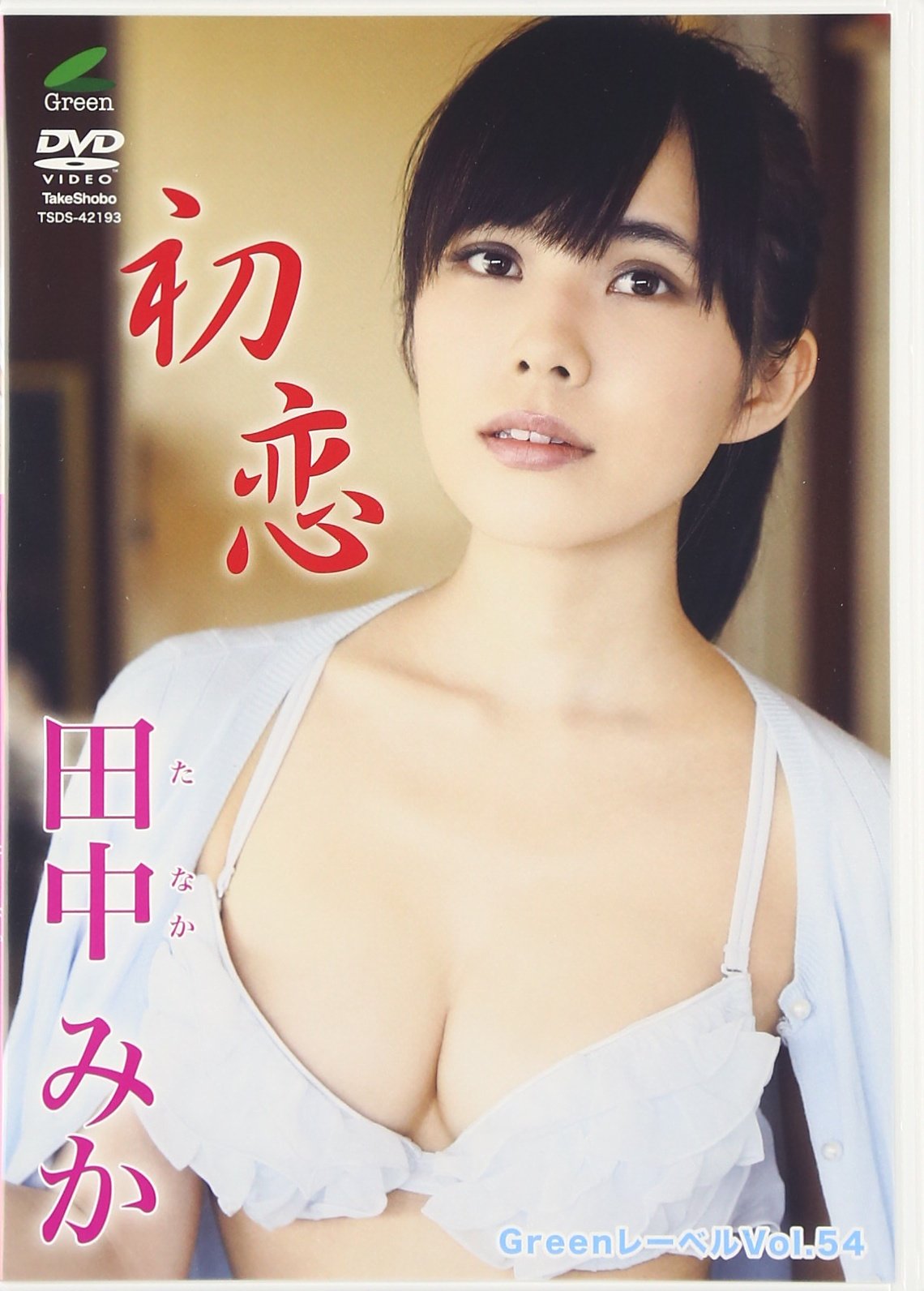 モデル の 田中 みか 田中みか モデル ディズニディズニーホテル炎上画像はこちら