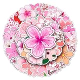 Sakura Stickers for Teens Boy Girls Kids|50