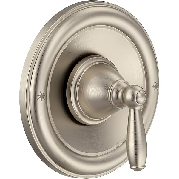 BICストアMoen S3880EPBN Collection Hand Shower, Brushed Nickel 【73OFF!】