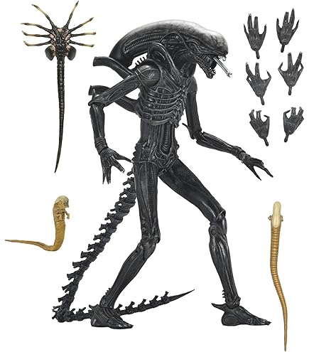 Aliens - Serie 2 - Alien Warrior Figurine - 18 cm : Amazon.ca