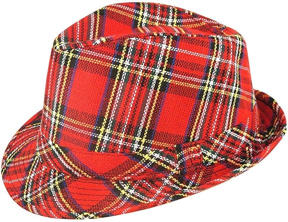 mens tartan hat