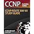 Chris Bryant's CCNP ROUTE 300-101 Study Guide