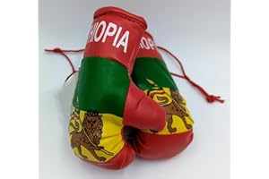 3D Crystal Mini Boxing Gloves - Ethiopia - Brown - Display Gloves - Boxing - 12 cm - Pair