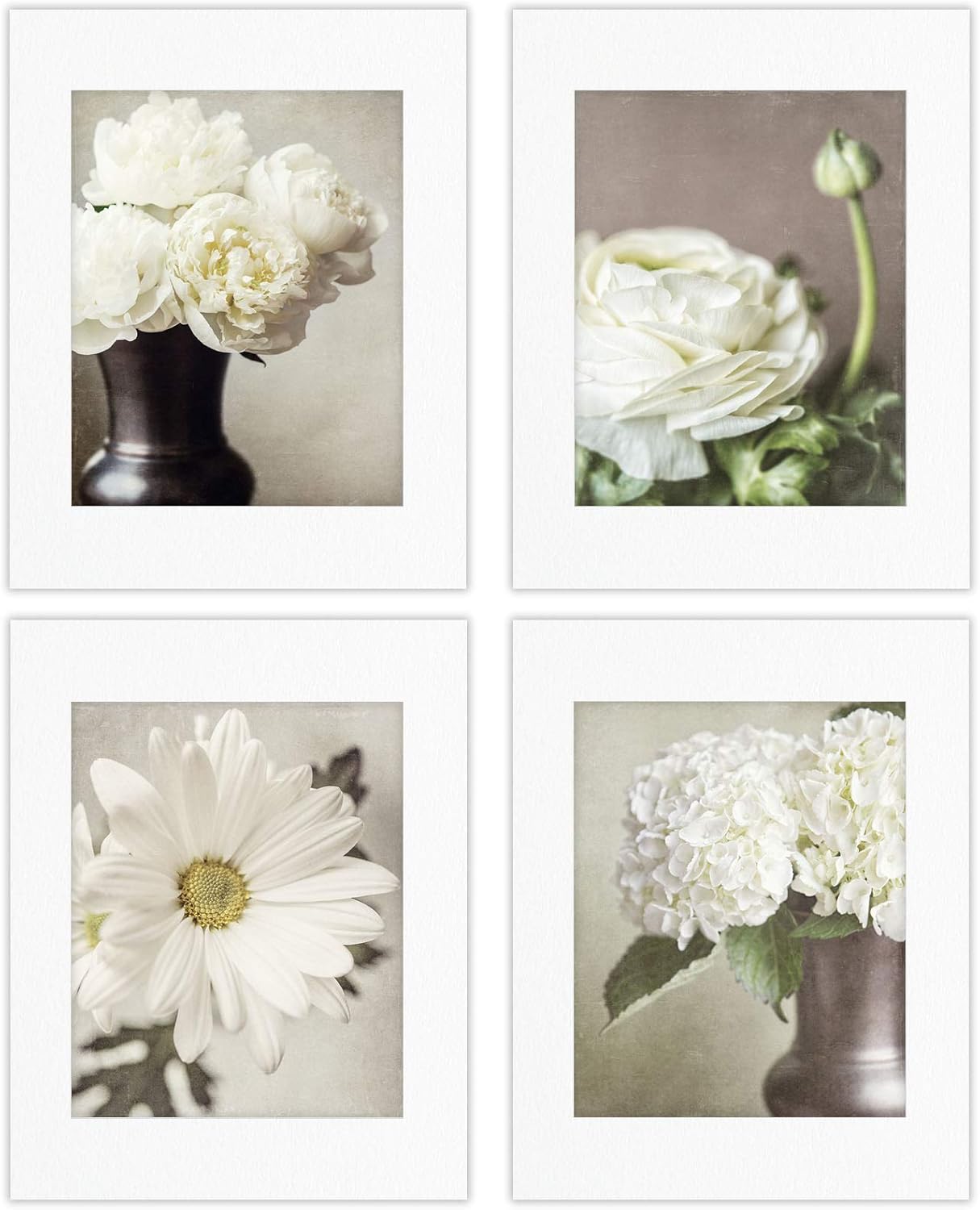 Photographs - Lisa Russo Fine Art - Botanical Flower Wall Decor Pictures - Shabby Chic Style - Set of 4 - Not Framed - Ivory, Tan, Beige (4 5x7 Prints with 8x10 Mats)