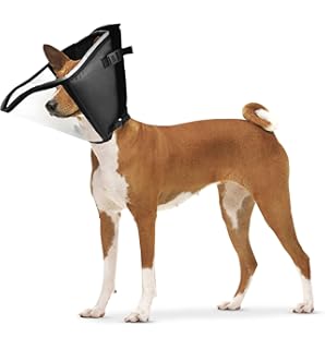 zen cone soft recovery collar