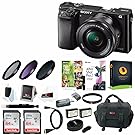 Sony Alpha a6000 Mirrorless Camera w/16-50mm Lens & Two 64GB SD Card Bundle