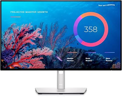 Dell UltraSharp U2422HE 23.8" IPS USB-C FHD LCD Monitor