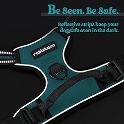 rabbitgoo Dog Harness No Pull with 2 Leash