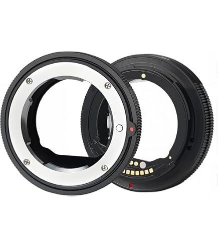 Amazon.com : NOVOFLEX Adapter Compatible with L-Mount Camera Body