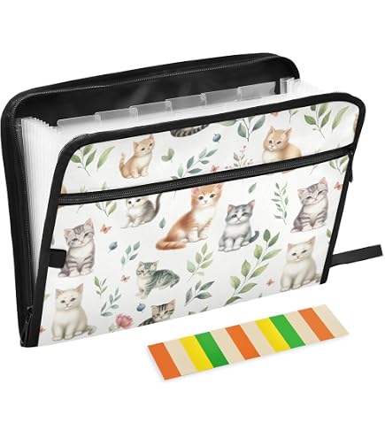 Amazon.com : Cute Kitty Cat Pink Expanding Accordion File Folder