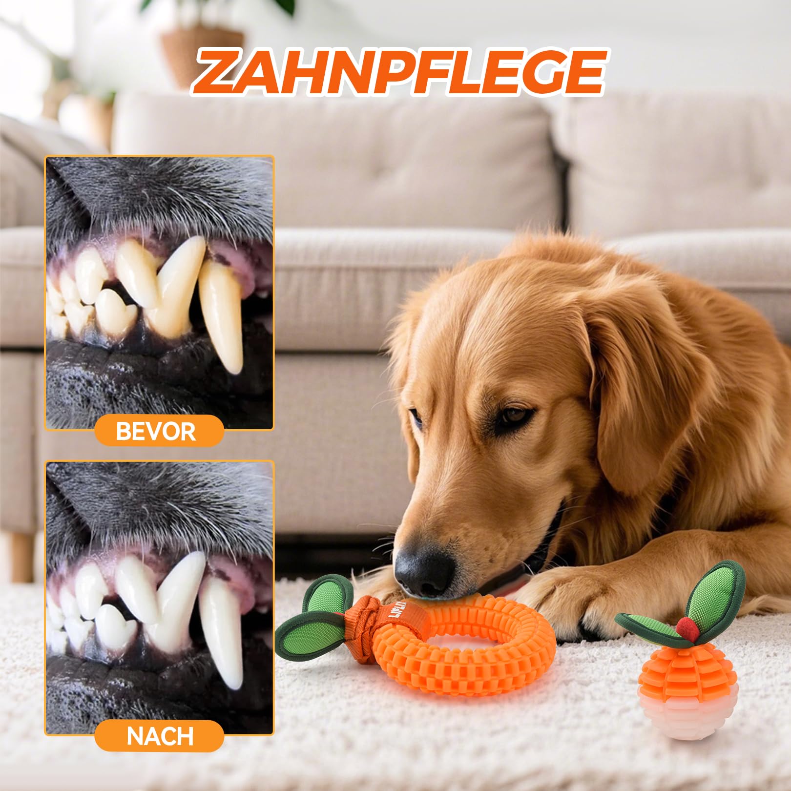 LIFLIX 2er-Set Zahnpflege-Spielzeug für Welpen, Langlebige TPU Biss und Bürste Hundespielzeug für Kleine & Mittlere Hunde, Dental Kauspielzeug für Zahnende Welpen 4