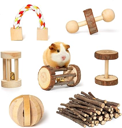 Rocinha Rabbit Toys Guinea Pig Toys 