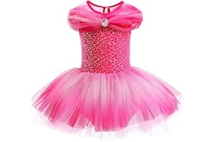 DYMCII Baby Girls Princess Ballet Dress Short Sleeve Leotards Skirted Tutu Dancewear Halloween Christmas Party Fancy Costume