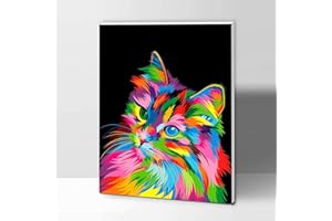 ifymei Paint by Numbers for Kids and Adults Beginner, DIY Gift Canvas Painting Kits with Frame, 12x16 Inch Colorful Cat