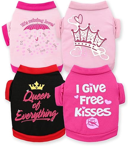 Amazon Birthday Girl Dog Shirt Dog Tshirt YUHAOTIN Dog Shirt For