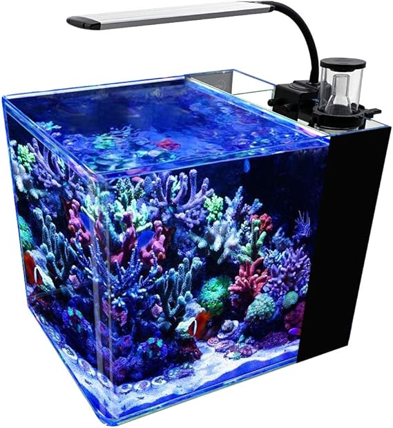 all in one saltwater tank