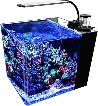 Gankpike 8-Gallon Nano Reef Tank