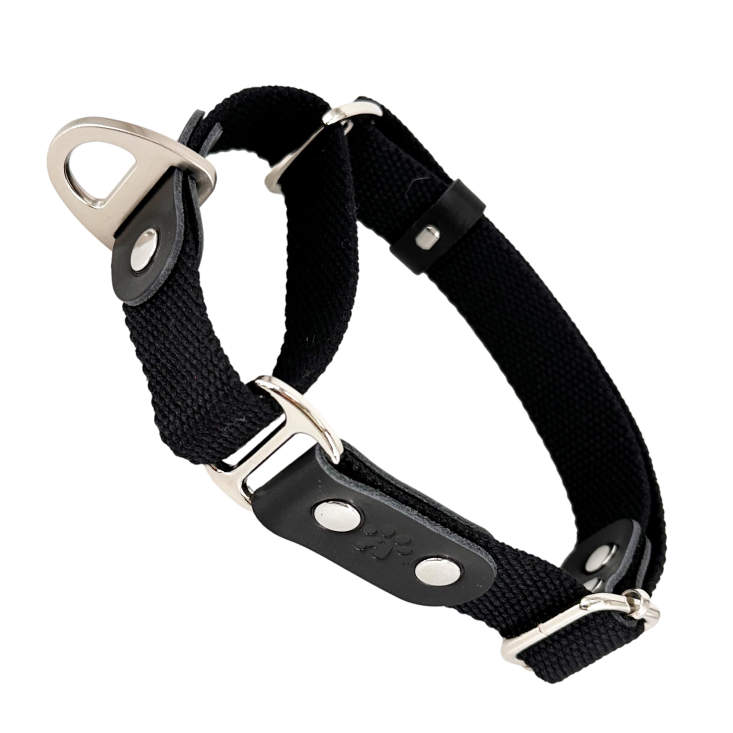Martingale Dog Choke Collar, Antipull, Poly-Cotton and Leather. L. Black & Black