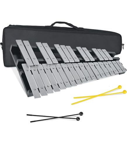 Amazon.com: Sonor Small Soprano Chromatic Glockenspiel : Musical
