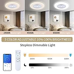 KAMLAM 24" Bladeless Ceiling Fan with Light, Low