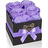 UFOREVER ROSES 4-Piece Preserved Roses in a Box, Preserved Flowers, Roses Gift for Her, Light Purple