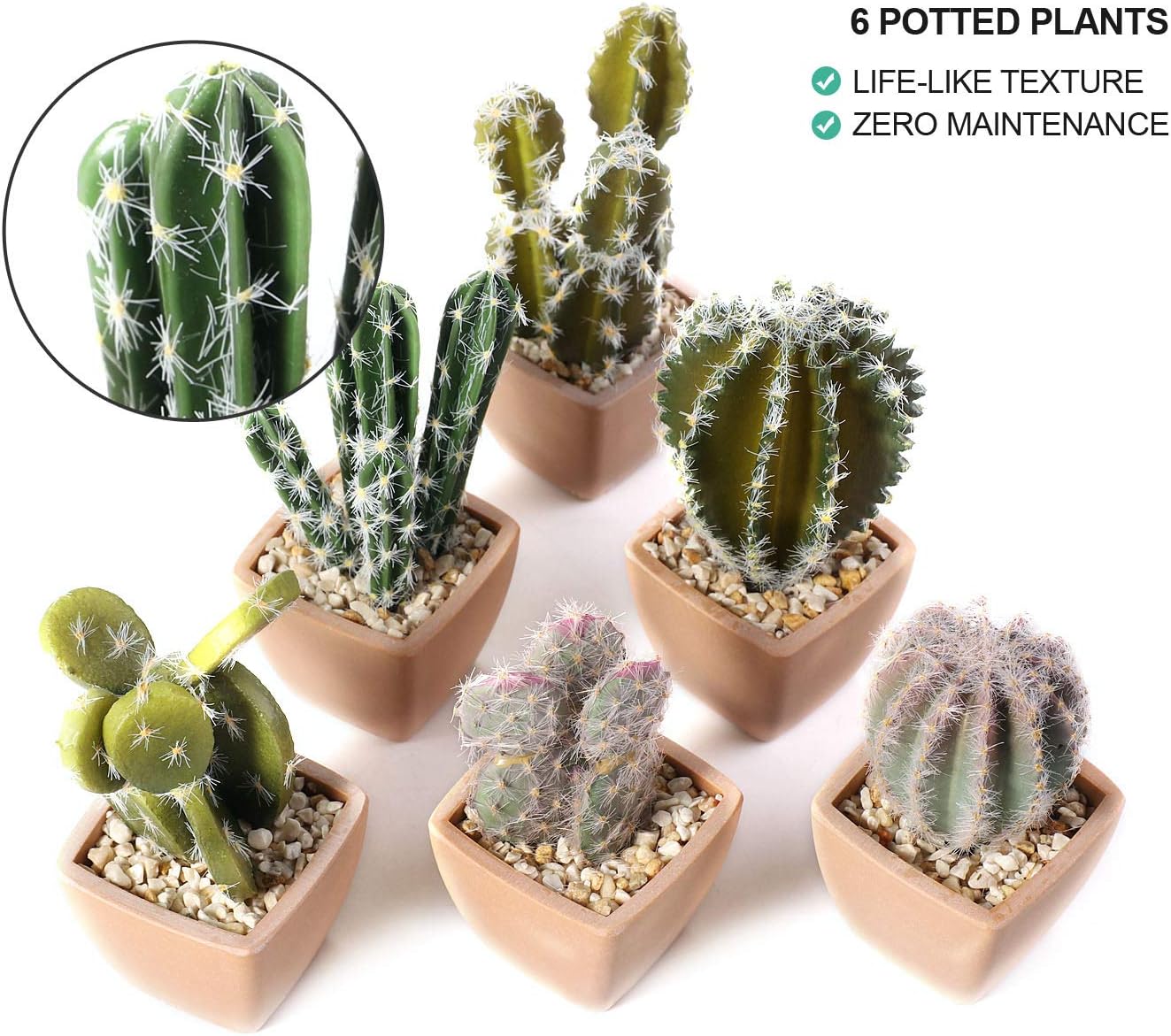 T4U Assorted Artificial Succulent Potted Plants Decorative Plastic Faux Cactus with Pots, Pack of 6 -