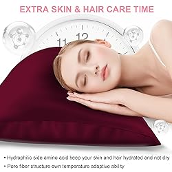 Mulberry Silk Pillow Cases 2 Pack Queen Size 20x30