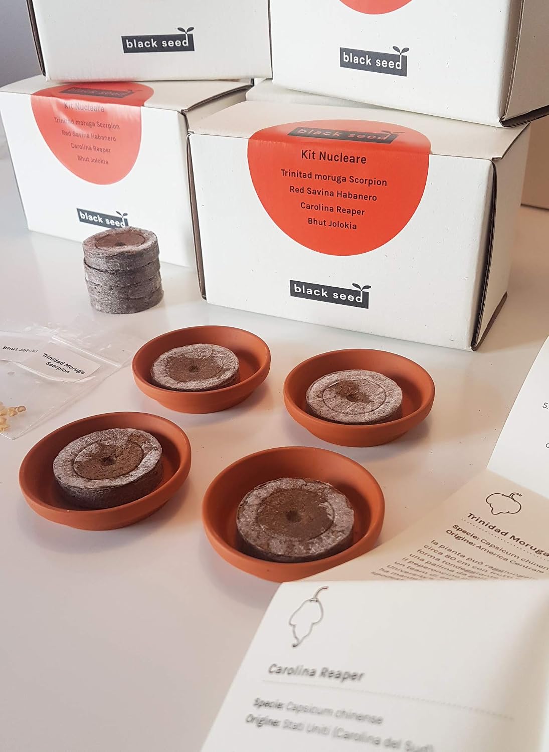Kit Nucleare – Black Seed – Kit de semillas – Kit de iniciación ...