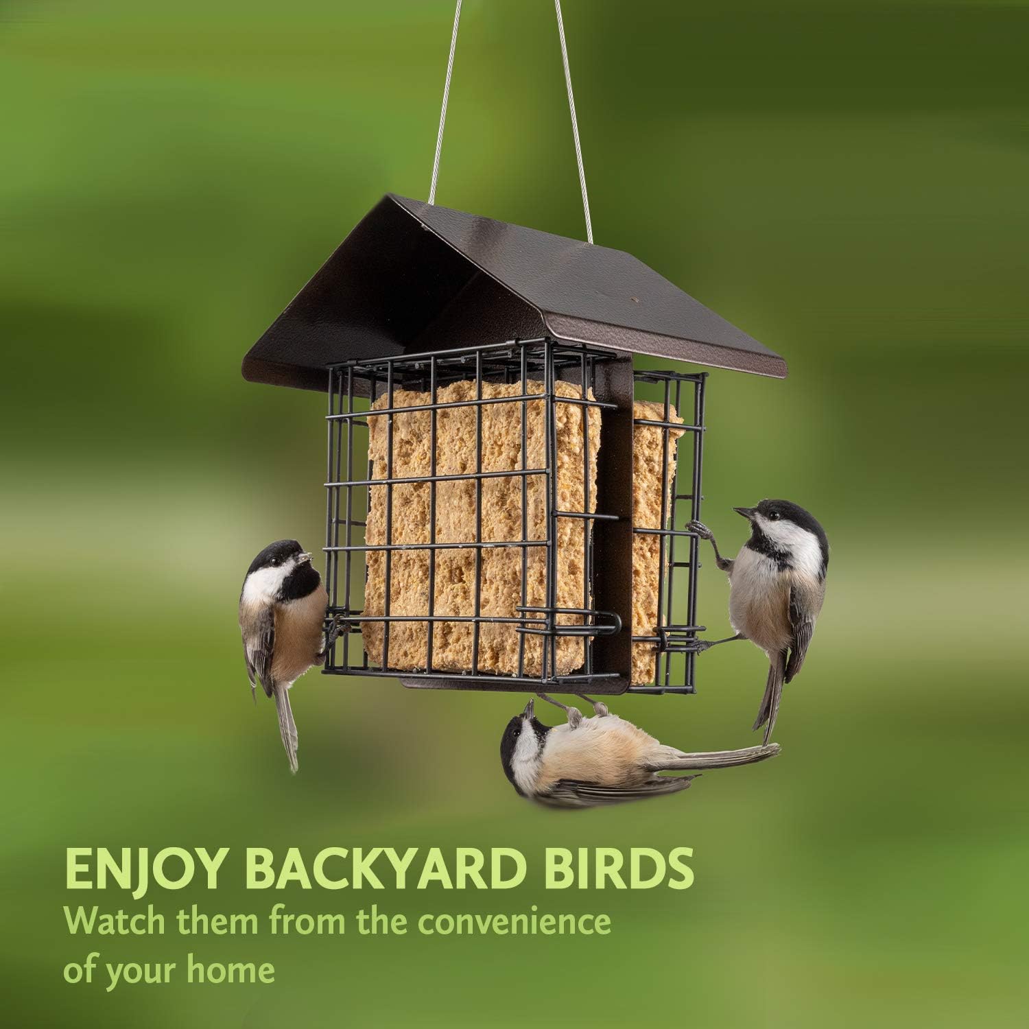Suet Bird Feeder for Outside [Double Capacity] Suet Wild Bird Feeder with Hanging Metal Roof, Suet Feeders for Outside, for Use with Suet Cakes, Seed Cakes, Mealworm Cakes : Garden & Outdoor