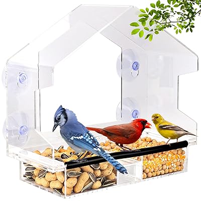 Buy Weatherproof Window Bird Feeder With Strong Suction Cups Drain Holes And 3 Sectioned Magnetic Removable Tray Large Wild Bird Feeder For Finch Cardinal And Blue Jay Style 1 Online In Taiwan B093p81gfv