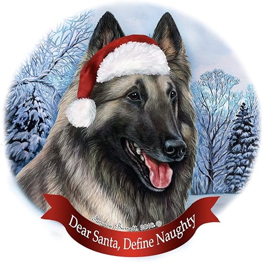 grey belgian tervuren