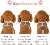 Pinenuts Cat Harness and Lead Set Adjustable Escape Proof Rainbow Kitten Harness view 5