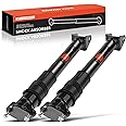 A-Premium Rear Pair (2) Strut Shock Absorber Compatible with Mercedes-Benz GL320 GL350 GL450 GL500 GL550 ML320 ML350 ML450 ML500 ML550 ML63 AMG, Driver and Passenger Side