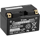 Yuasa YUAM7210A YTZ10S Factory Activated YTZ High Performance AGM Battery