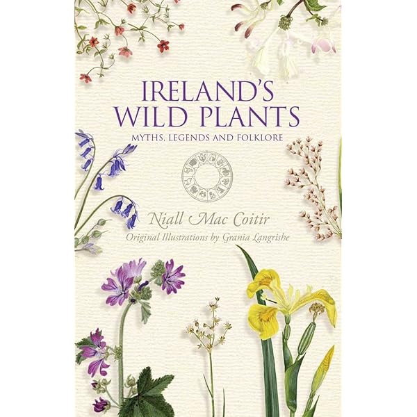 Ireland's Birds: Myths, Legends and Folklore: Niall Mac