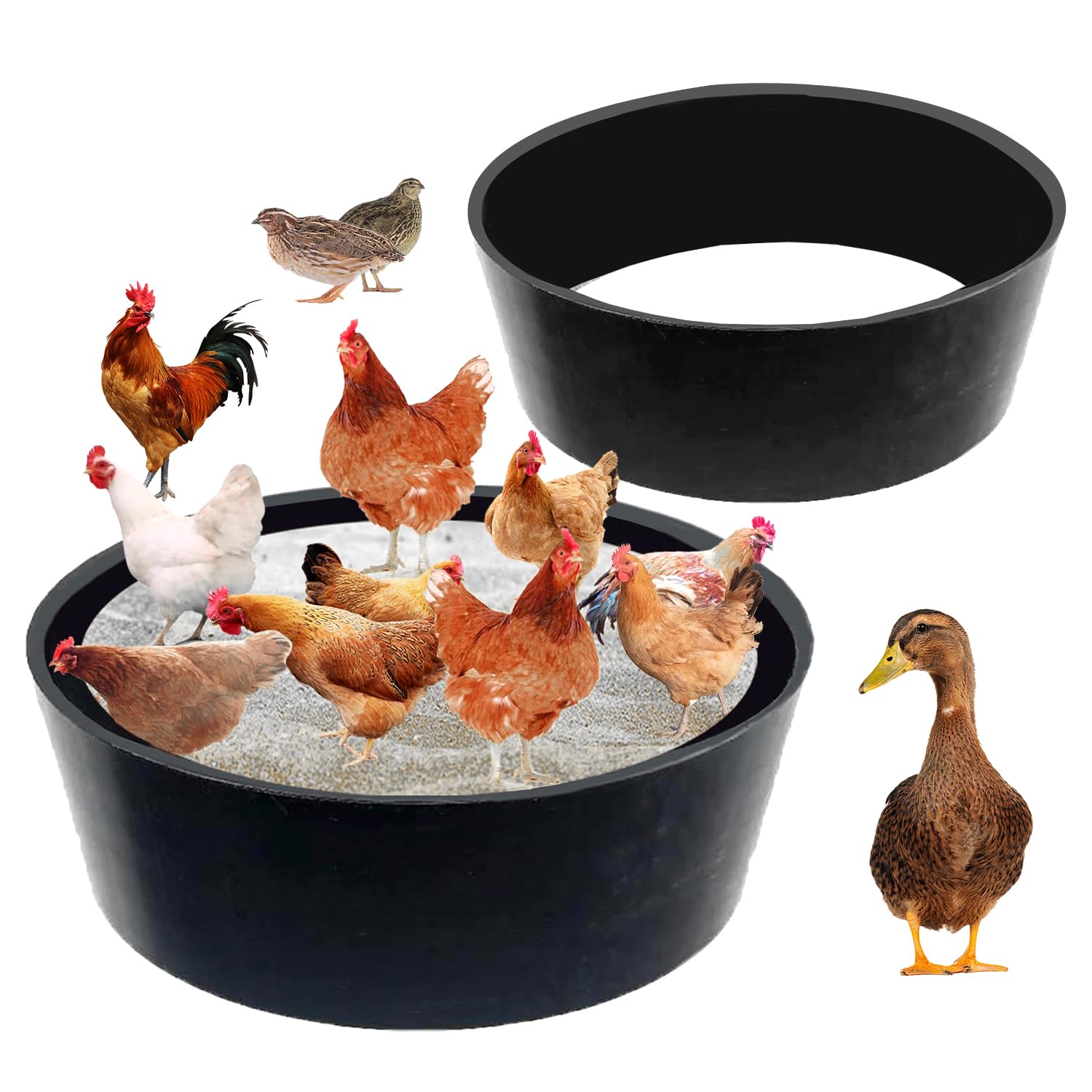 Photo 1 of HortiMan Chicken Dust Bath Tub, 25'' D * 5.9'' H, Bottomless Design, PE Eco Friendly, Dust Bath, Chicken Coop Cleaner Container