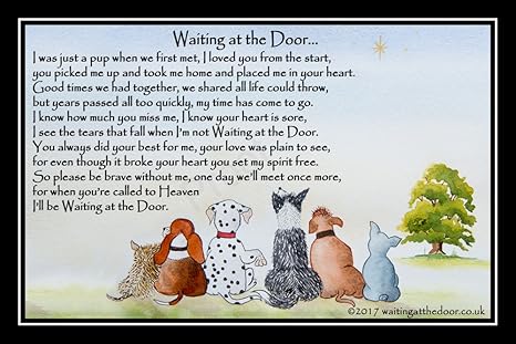 Pet Dog Memorial Rainbow Bridge Print Unframed Waiting At The Door Amazon Co Uk Kitchen Home