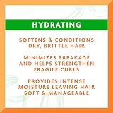 Cantu Avocado Leave-In Conditioning Repair Cream 340g Hydrates Strengthens Curls view 3
