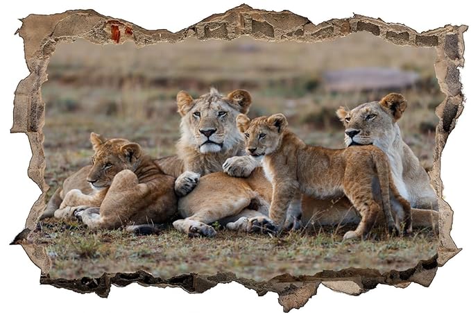 Löwe Raubkatze Outback Wandtattoo Wandsticker Wandaufkleber D0722 Größe 40 cm x 60 cm