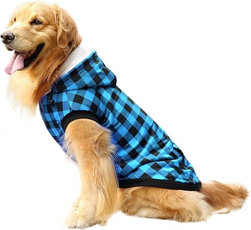 golden retriever winter jacket