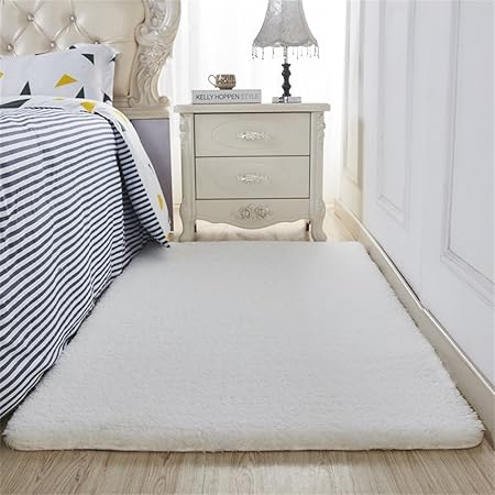 Ainuo Mat Thick Washable Carpet Berber Fleece Footmats For